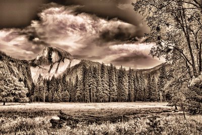 Yosemite National Park VI