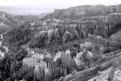 Bryce Canyon photo in Black and White