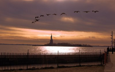 Sunset State of Liberty birds