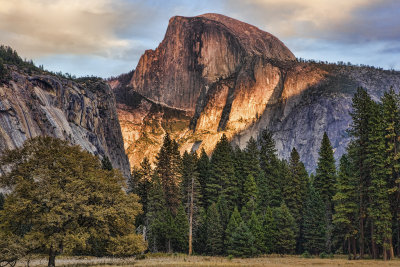 Yosemite Half Dome III