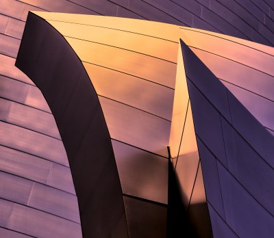 Frank Gehry Disney Hall