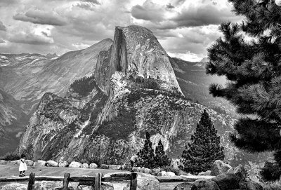 Half Dome X Yosemite National Park