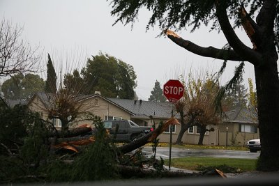 California Storm Jan 08