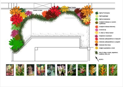 Planting Plan - also changed a little