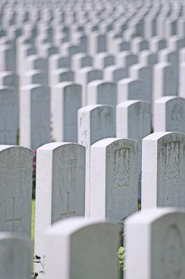 g4/64/355864/3/60395264.TyneCot.jpg