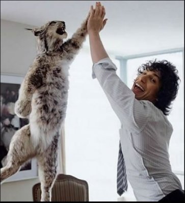 88 Andy Samberg Hi-Fives A Bobcat.jpg