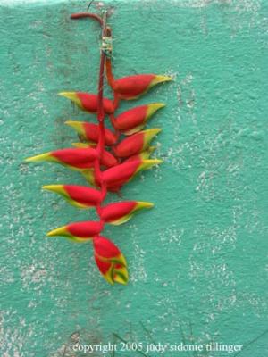 red and turquoise, solala, guatemala