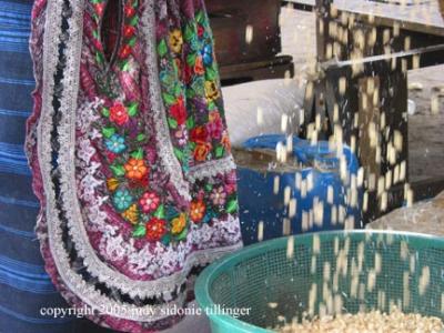 cleaning grain at the market, antigua, guatemala