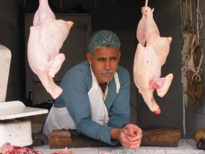 poultry, Essaouira