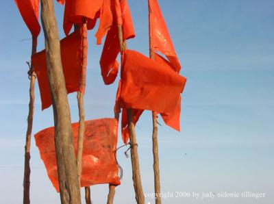 orange flags, Essaouira