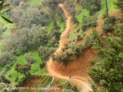 road  from above