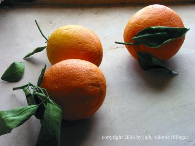 oranges in moroccan light