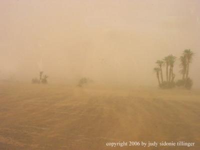 sandstorm!