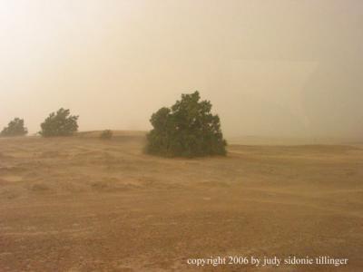 sandstorm! 2
