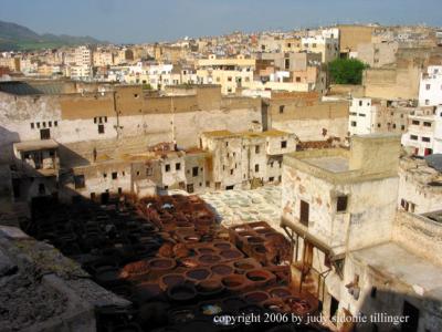 fes, maroc from the leather works