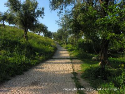 volubilis 3, morocco