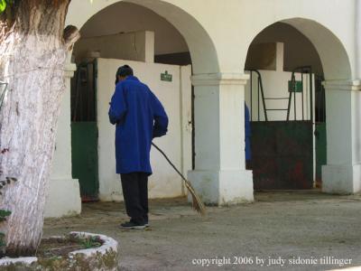 two arches in stable, rabat, morocco