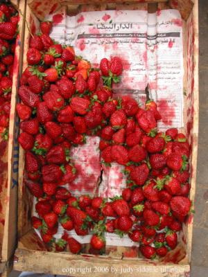 strawberries in a box, fes, maroc