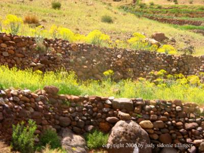 essaouira to skoura 6