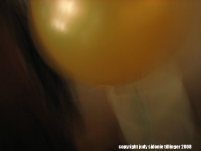 1.01.08 champagne balloon