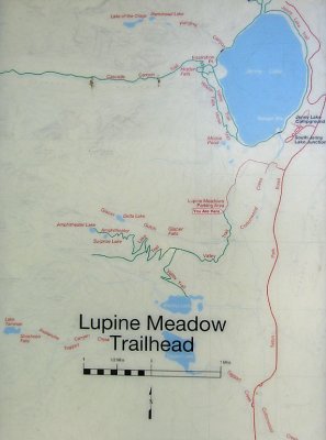 Lupine Meadow Trailhead