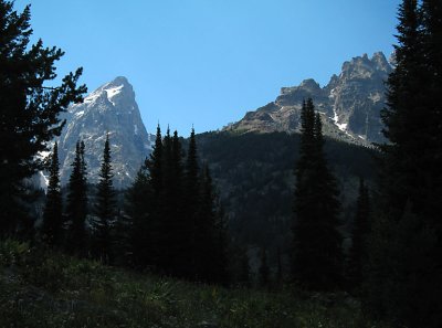 View from a few miles up the Lupine Meadows Trail.