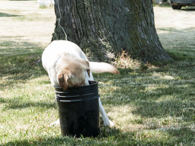 4th of July 2012-8.jpg