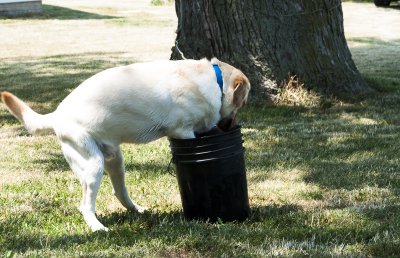 4th of July 2012-9.jpg