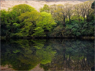 Kylemore Lake