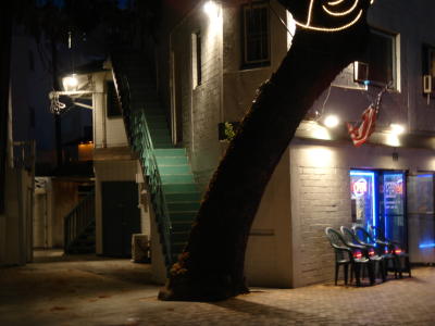 Honolulu night scene.JPG