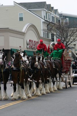 St. Patrick's day 2006