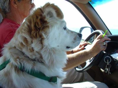 Fergus
