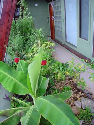Earthships