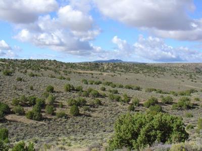 dsc00276_std.jpg
