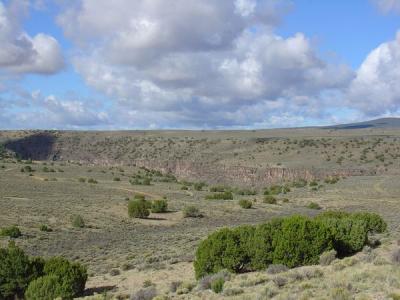 dsc00280_std.jpg