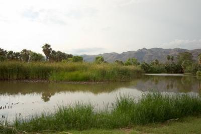 crw_2067_std.jpg