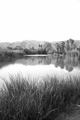 crw_2068_bw_std.jpg