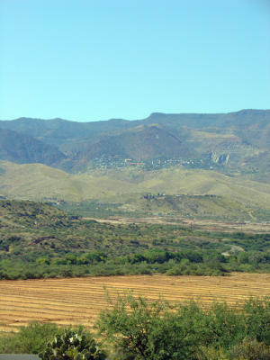 DSC00421.jpg