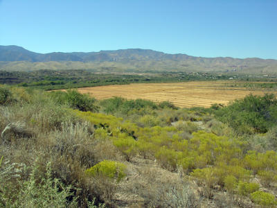 DSC00424.jpg