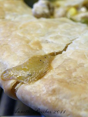 Day Nine - Chicken Pot Pie