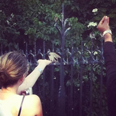 BIRD FEEDING.jpg