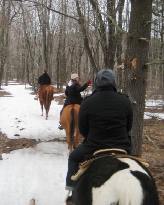 Riding through the woods