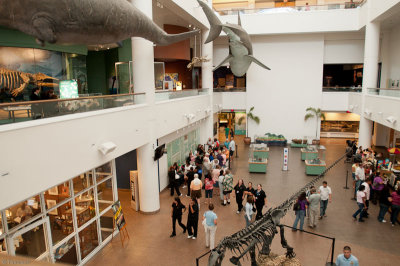 n0923 Natural History Museum