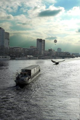 Le contre-jour  l'oiseau