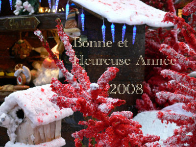 Bonne Anne 2008