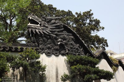 Dragon on the wall