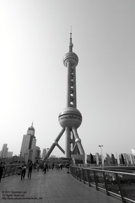 The Pudong Icon