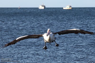 Landing