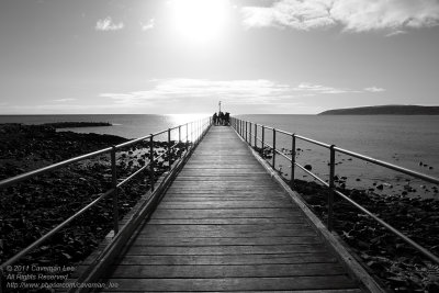 Light bridge