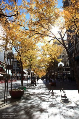 Avenue of Denver